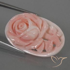Coral Rosado flamingo natural de 22.80 ct, Elegante, Opaco