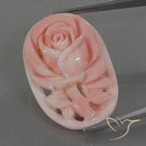 Coral Rosado flamingo natural de 22.80 ct, Elegante, Opaco