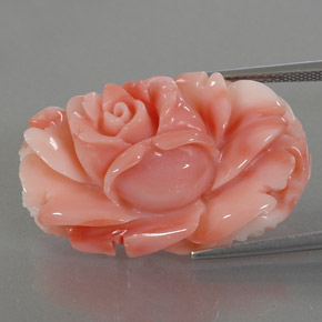 Coral multicolor natural de 33,66 ct, forma elegante, opaco