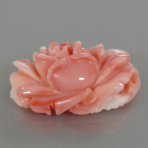 Coral multicolor natural de 33,66 ct, forma elegante, opaco