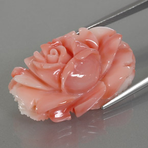 Coral multicolor natural de 33,66 ct, forma elegante, opaco