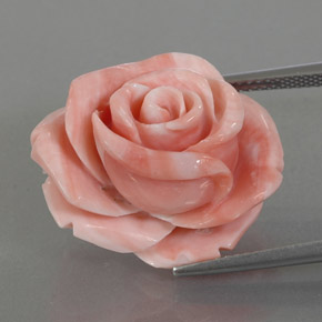 Coral rosa natural de 25,74 ct, forma elegante, opaco