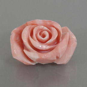 Coral rosa natural de 25,74 ct, forma elegante, opaco