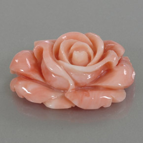 Coral multicolor natural de 22,59 ct, forma elegante, opaco