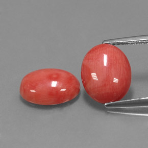 Gemas de coral rosa natural de  ct, corte óvalo, opaco