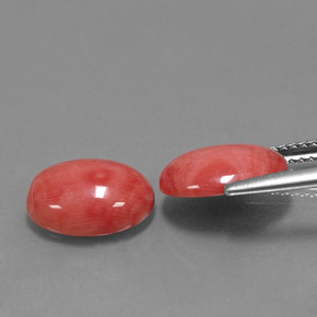 Gemas de coral rosa natural de  ct, corte óvalo, opaco