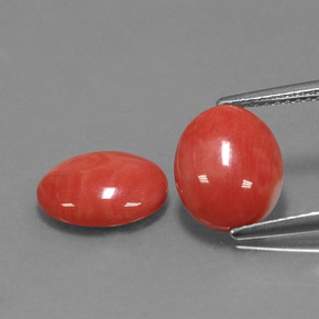 Gemas de coral rosa natural de  ct, corte óvalo, opaco