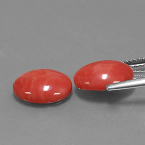 Gemas de coral rosa natural de  ct, corte óvalo, opaco