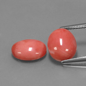 Gemas de coral rosa natural de  ct, corte óvalo, opaco