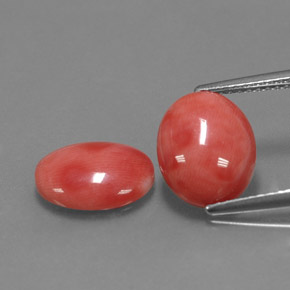 Gemas de coral rosa natural de  ct, corte óvalo, opaco