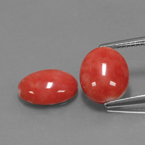 Gemas de coral rosa natural de  ct, corte óvalo, opaco