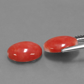 Gemas de coral rosa natural de  ct, corte óvalo, opaco