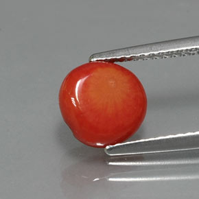 Coral rosa natural de 1,95 ct, forma elegante, opaco