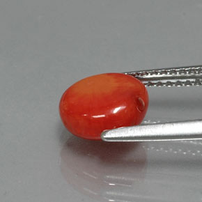 Coral rosa natural de 1,95 ct, forma elegante, opaco