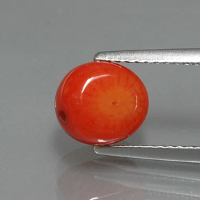 Coral salmón natural de 2,62 ct, forma elegante, opaco