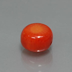 Coral salmón natural de 2,62 ct, forma elegante, opaco