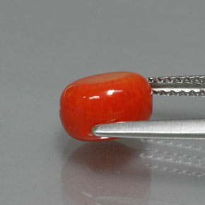 Coral salmón natural de 2,62 ct, forma elegante, opaco