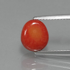 Coral Salmón natural de 2.22 ct, Forma elegante, Opaco