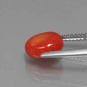 Coral Salmón natural de 2.22 ct, Forma elegante, Opaco