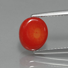 Coral rosa natural de 2,35 ct, forma elegante, opaco