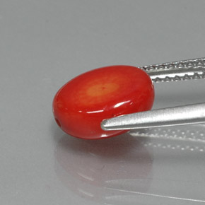 Coral rosa natural de 2,35 ct, forma elegante, opaco