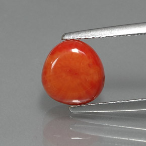 Coral rosa natural de 2,25 ct, forma elegante, opaco
