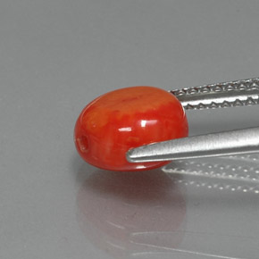Coral rosa natural de 2,25 ct, forma elegante, opaco