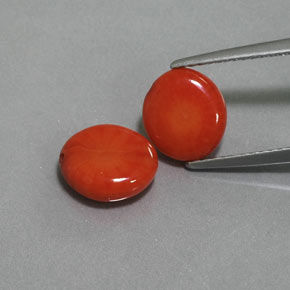 Gemas de coral rosa natural de  ct, forma elegante, opaco