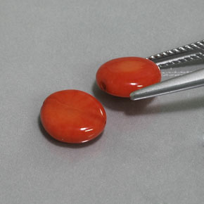 Gemas de coral rosa natural de  ct, forma elegante, opaco