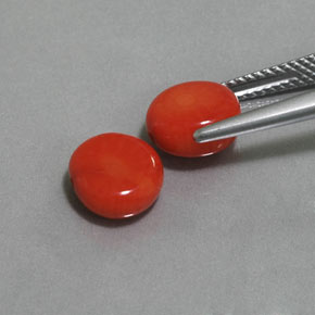 Gemas de coral rosa natural de  ct, forma elegante, opaco