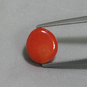 Coral rosa natural de 2,12 ct, forma elegante, opaco