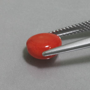 Coral Salmón natural de 2.41 ct, Forma elegante, Opaco