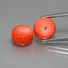 Gemas de coral salmón natural de  ct, forma elegante, opaco
