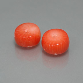 Gemas de coral salmón natural de  ct, forma elegante, opaco