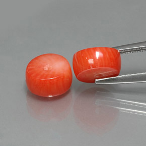 Gemas de coral salmón natural de  ct, forma elegante, opaco