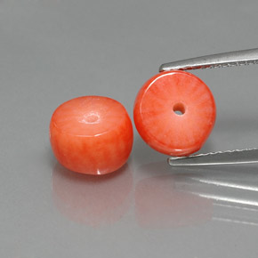 Gemas de Coral Salmón natural de  ct, Forma elegante, Opaco