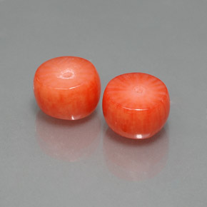 Gemas de Coral Salmón natural de  ct, Forma elegante, Opaco