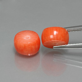 Gemas de Coral Salmón natural de  ct, Forma elegante, Opaco