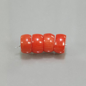 Gemas de Coral Salmón natural de  ct, Forma elegante, Opaco