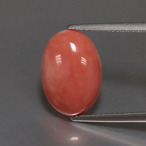 Coral rosa natural de 4,05 ct, corte óvalo, opaco