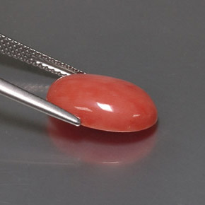 Coral rosa natural de 4,05 ct, corte óvalo, opaco