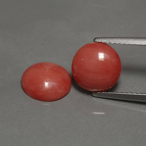 Gemas de coral rosa natural de  ct, corte redondo, opaco