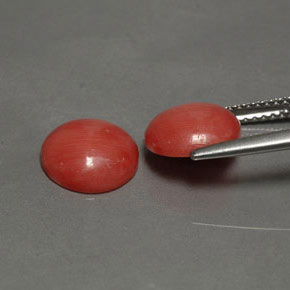 Gemas de coral rosa natural de  ct, corte redondo, opaco