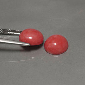Gemas de Coral Salmón natural de  ct, Corte Redondo, Opaco