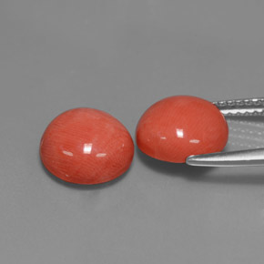 Gemas de Coral Salmón natural de  ct, Corte Redondo, Opaco