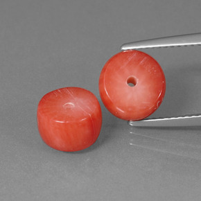 Gemas de Coral Salmón natural de  ct, Forma elegante, Opaco