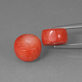 Gemas de Coral Salmón natural de  ct, Forma elegante, Opaco