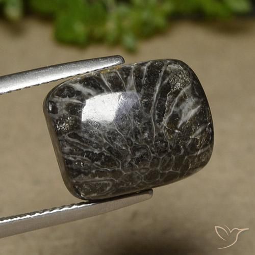 Coral Multicolor natural de 11.07 ct, Forma Cojín, Opaco