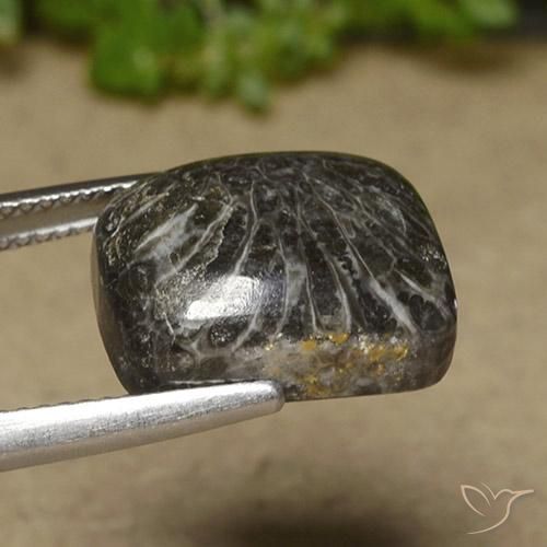 Coral Multicolor natural de 11.07 ct, Forma Cojín, Opaco