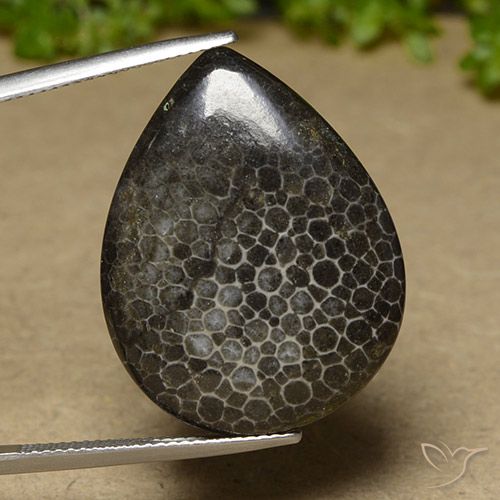 Coral Multicolor natural de 21.35 ct, En forma de pera, Opaco